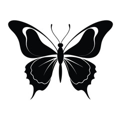 Butterfly vector silhouette