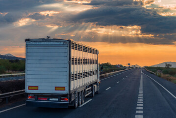 Cage truck for transporting livestock driving on the highway under a dramatic sky.