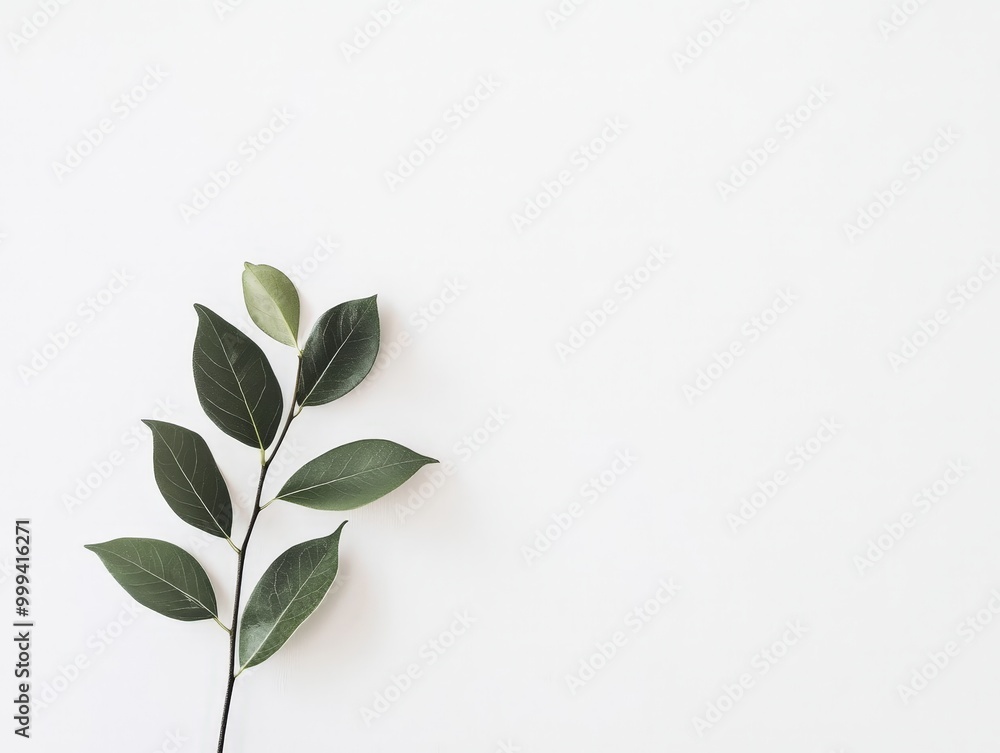 Poster minimalistic design with a life quote over a clean white background, focusing on simplicity and clar