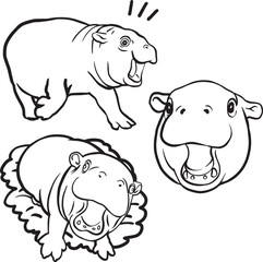 Out line baby hippo transparent background.