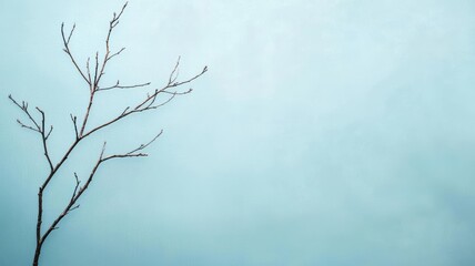 A minimalist image featuring a bare branch against a soft blue background, evoking a sense of tranquility and nature's beauty.