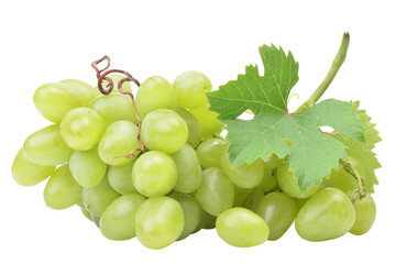 Bunch of green grapes isolated