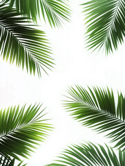 Obraz premium tropical plants, palm leaves, monstera leaves, exotic plants, jungle plants,