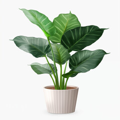 Obraz premium Green Plant in White Pot with Striped Leaves