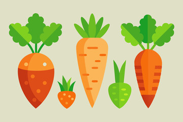 set of carrot