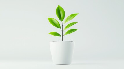 Simple Indoor Plant in White Pot with Fresh Leaves