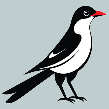 recommend clip art: Solid color Mockingbird animal vector design