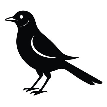 recommend clip art: Solid color Mockingbird animal vector design