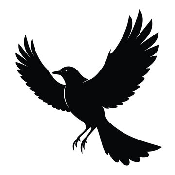 recommend clip art: Solid color Mockingbird animal vector design