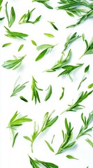 Scattered green herbs on a white background Generative AI