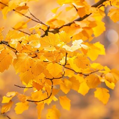 Leaves of different sizes and hues of yellow covering the ground mesmerizing autumn scene.