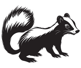 Obraz premium Black and white squirrel, Illustration of squirrel, Skunk vector