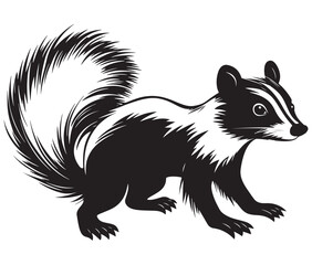 Obraz premium Black and white squirrel, Illustration of squirrel, Skunk vector