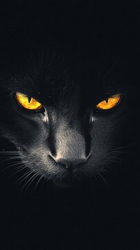 El misterioso gato negro con ojos amarillos brillantes, retratado en una silueta oscura y enigm&aacute;tico, resaltando