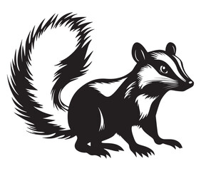 Black and white squirrel, Illustration of squirrel, Skunk vector