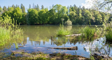 spring landscape lake Thanninger Weiher, green trees at the shore