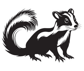 Black and white squirrel, Illustration of squirrel, Skunk vector