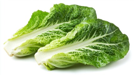 Romaine Lettuce Leaves Isolated on White Generative AI