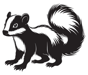 Fototapeta premium Black and white squirrel, Illustration of squirrel, Skunk vector