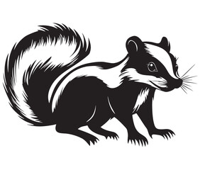 Black and white squirrel, Illustration of squirrel, Skunk vector