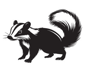 Black and white squirrel, Illustration of squirrel, Skunk vector