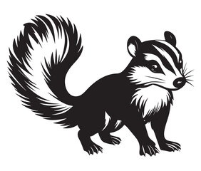 Black and white squirrel, Illustration of squirrel, Skunk vector