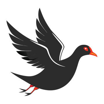 recommend clip art: Solid color Moorhen animal vector design