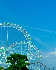 ferris wheel in the city
