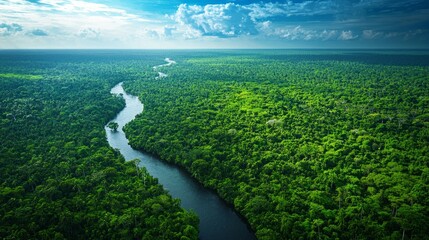 Lush Green Forest with Serpentine River Aerial View