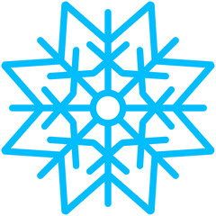 Winter Snow Flake
