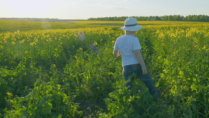 Little Boy Play In Rapeseed Field. Boy Plays In Field Of Rapeseed Dreaming Nature. Little Boy Playing In Rapeseed Field. Concept Of Childhood.