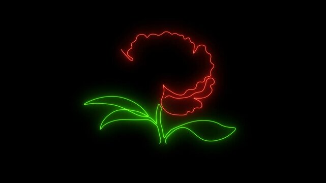 Self drawing animation with one continuous line draw, Abstract peony flower, beauty salon logo, Blazing red and green flame, energy, fire. neon sign