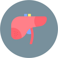 Liver icon vector image. Can be used for Human Anatomy.