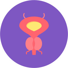 Prostate icon vector image. Can be used for Human Anatomy.