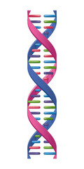 DNA