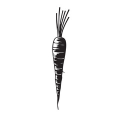 black carrot with long leaf icon ,carrot icon. Outline diet carrot vector icon for web design isolated on white background