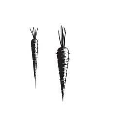 black carrot with long leaf icon ,carrot icon. Outline diet carrot vector icon for web design isolated on white background
