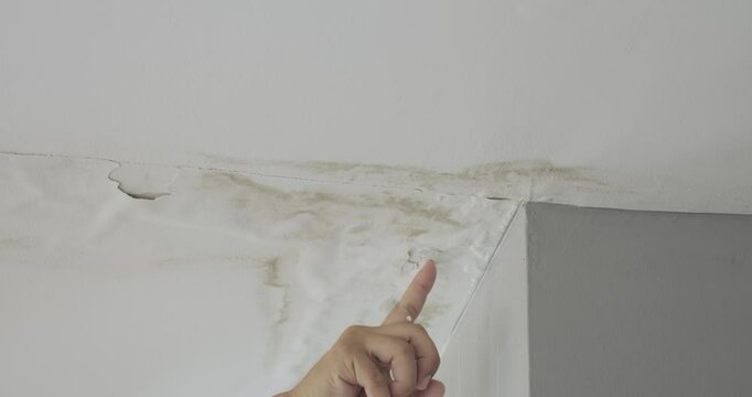 Male finger is peeling paint on ceiling, Office building or house problem for house service. High definition shot at 4K, 50 fps video footage.