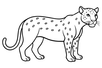 jaguar line art, jaguar outline vector illustration