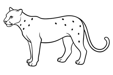jaguar line art, jaguar outline vector illustration