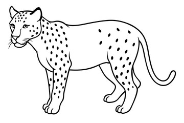 jaguar line art, jaguar outline vector illustration