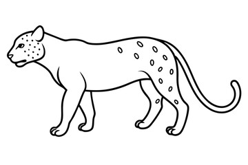 jaguar line art, jaguar outline vector illustration