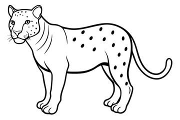 jaguar line art, jaguar outline vector illustration