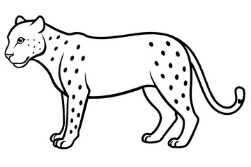 jaguar line art, jaguar outline vector illustration
