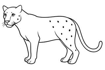 jaguar line art, jaguar outline vector illustration