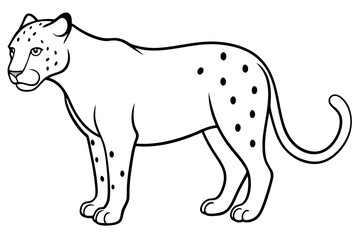 jaguar line art, jaguar outline vector illustration
