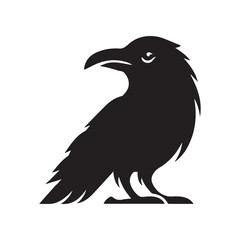 Obraz premium Raven Bird Vector Illustration in black and white - Raven Clipart Design 