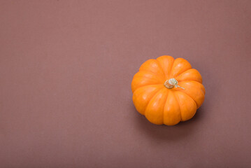 Decorative pumpkin with brown background. Copy space.