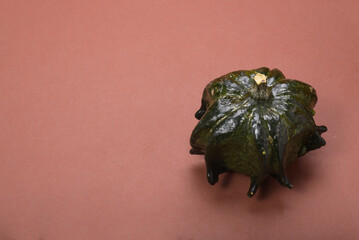 Decorative pumpkin with brown background. Copy space.