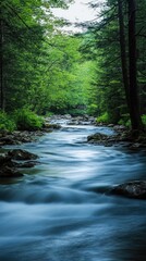 Obraz premium Serene Forest Stream Flowing Through Lush Greenery in a Tranquil Woodland Setting